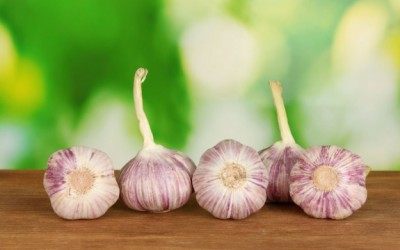 garlic bulbs