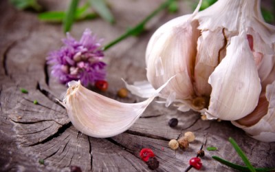 garlic