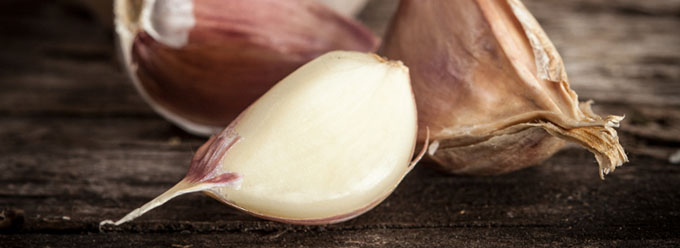 garlics-680