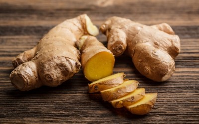 gigner root