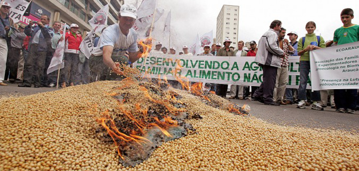 gmo-brazil-soybeans_735_350