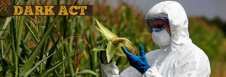 gmo-crops-pesticides-toxic-dark-acts-735-250