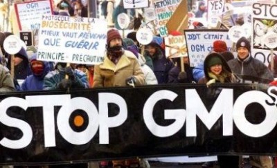 gmo protest
