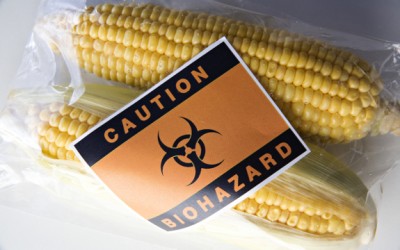 gmo-scientists