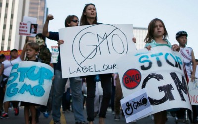 gmo protest