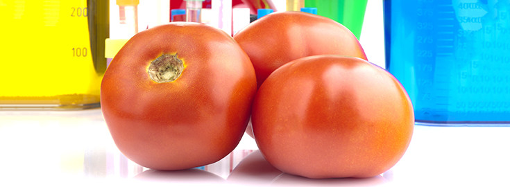 WHO Only Requires 90 Days 'Safety Testing' On GMOS