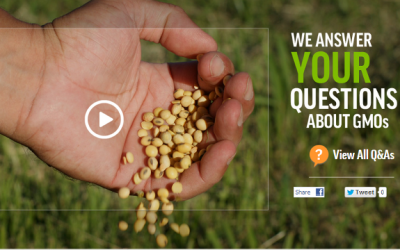 gmo answers