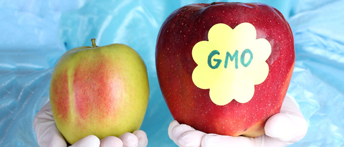 gmo_apples_label_680