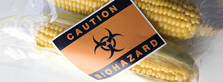 gmo_corn_Caution_beware_735_270