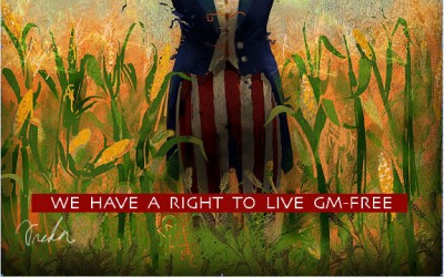 gmo ban