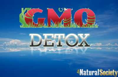 gmo detox