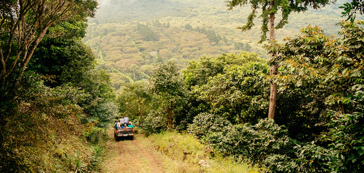 gmo_el_salvador_monsanto_735_350