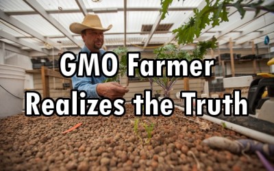 gmo farmer