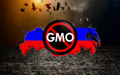 Russia GMO