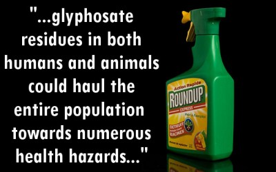 roundup