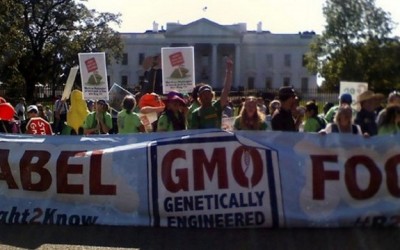 gmo labeling