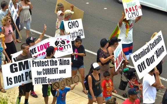 GMO Maui protest
