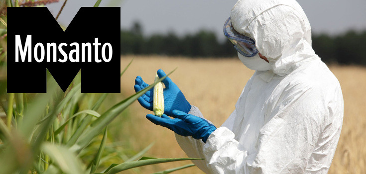 gmo_monsanto-pesticides_corn_crop_man_735_350