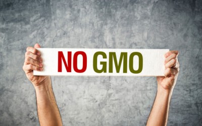 gmo