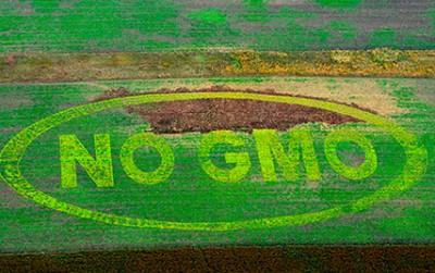 no gmo