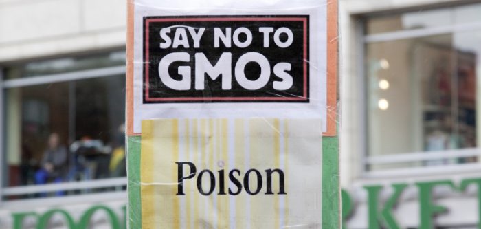 no gmo