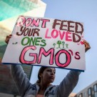 Breaking: New USDA Report Proves Environmental Impact of GMO is ‘Questionable’ Breaking: New USDA Report Proves Environmental Impact of GMO is ‘Questionable’