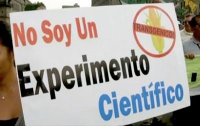 gmo soy protest
