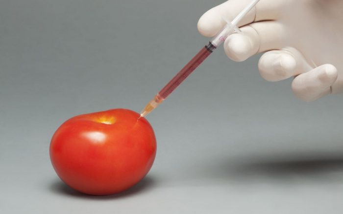 gmo foods