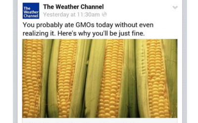 GMO weather channel