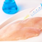 Scientists Create Genetically Modified Chickens to Stop Flu Spread Scientists Create Genetically Modified Chickens to Stop Flu Spread