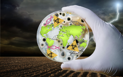 transgene escape