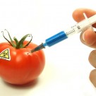 Scientist: Many Pro-GMO Corporate Biologists Own GMO Patents, in Bed with Monsanto Scientist: Many Pro-GMO Corporate Biologists Own GMO Patents, in Bed with Monsanto