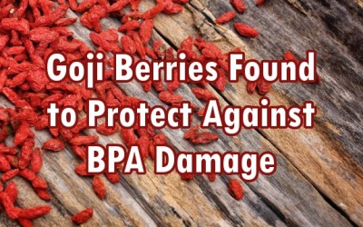 goji berries