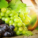 Grapes Provide Powerful Vision-Promoting Properties Grapes Provide Powerful Vision-Promoting Properties