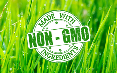 gmo grass