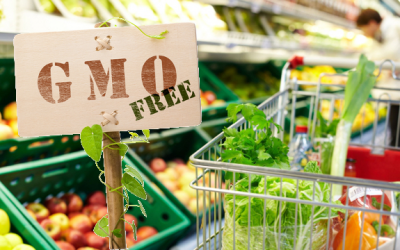 gmo grocery shopping
