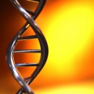 Synthetic Biologist: Cloned Children, ‘Handpicked Genes’ Right Around the Corner Synthetic Biologist: Cloned Children, ‘Handpicked Genes’ Right Around the Corner