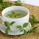 Jiaogulan: An Ancient Asian Vine for Health and Longevity Jiaogulan: An Ancient Asian Vine for Health and Longevity