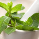 Grow Your Own Medicine: Peppermint Tea Benefits Grow Your Own Medicine: Peppermint Tea Benefits