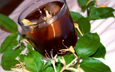 honeysuckle tea
