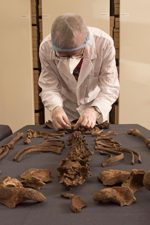 image-02plaguedna.adapt.590.1