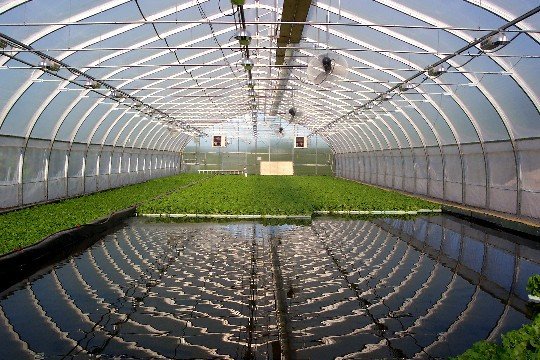 image-CommercialFarm