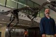 New Dinosaur with Tiny T-Rex Arms Discovered