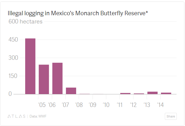 image-insect-butterfly-logging-monarch