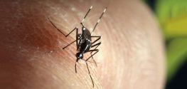 New Zika Case Raises Questions on Transmission