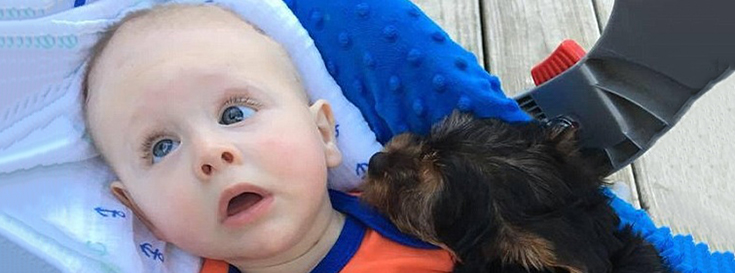 image-kid-brain-skull-735-273