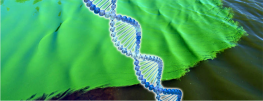 Scientists Fearful of 'Ecological Risks' Sparked by GMO Microalgae
