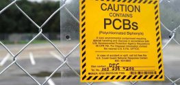Activists Urge Congress to Require Schools to Test for Toxic PCBs