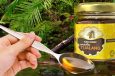 The Healing Power of Tualang Honey