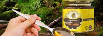 The Healing Power of Tualang Honey